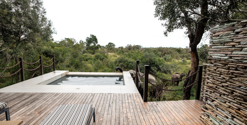 Superior Suite Plunge Pool