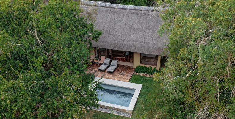 Superior Suite 