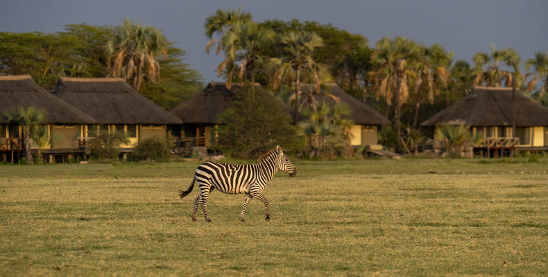 Maramboi Tented Lodge 