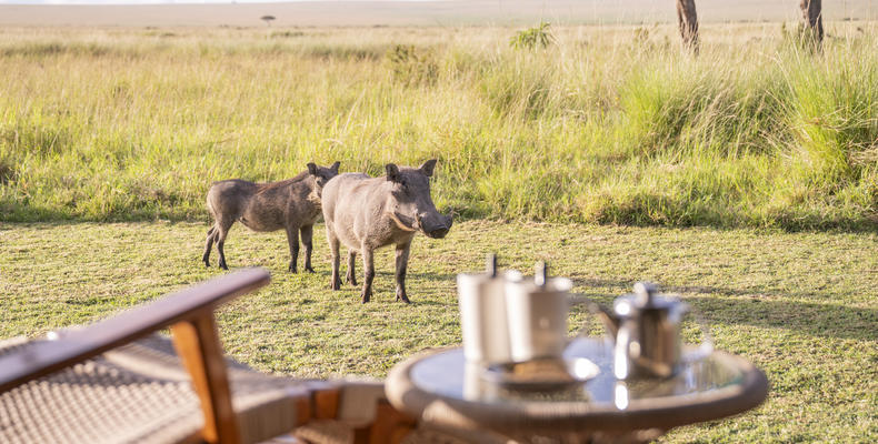 Governors' Camp Family Tent