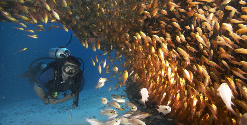 Breezes Rising Sun Dive Centre