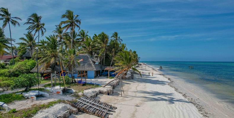 Beach side - lower beach