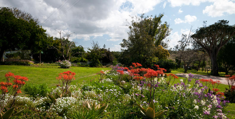 Leeuwenbosch Country Lodge - Gardens 