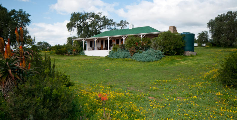 Leeuwenbosch Country Lodge - Shearer's Lodge