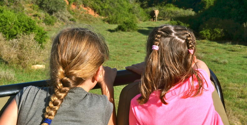 Leeuwenbosch Country Lodge - Family friendly game drives