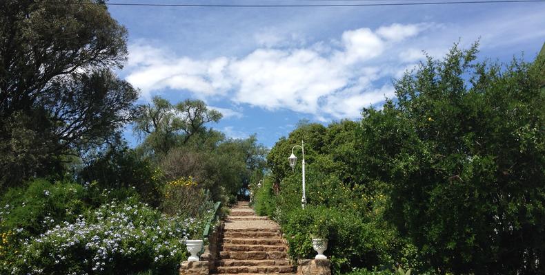 Leeuwenbosch Country Lodge - Gardens 