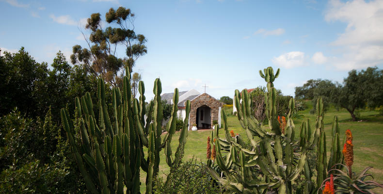 Leeuwenbosch Country Lodge - Gardens 