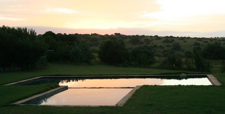 Leeuwenbosch Country Lodge - Pool 