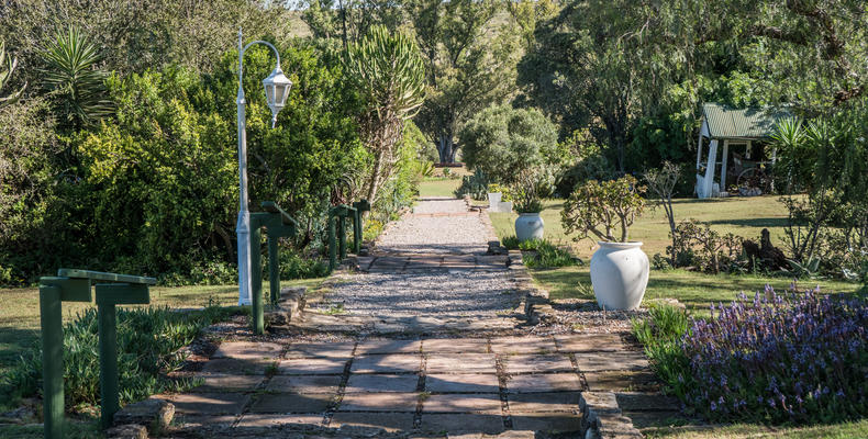 Leeuwenbosch Country Lodge - Garden Walkway