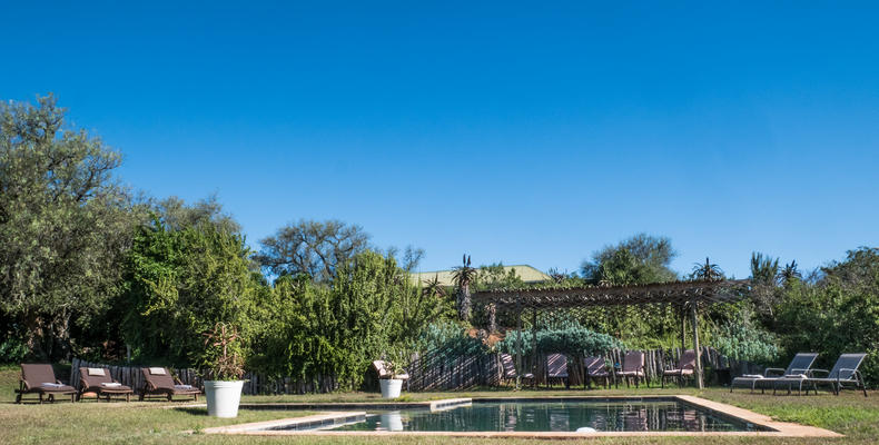 Leeuwenbosch Country Lodge - Swimming Pool