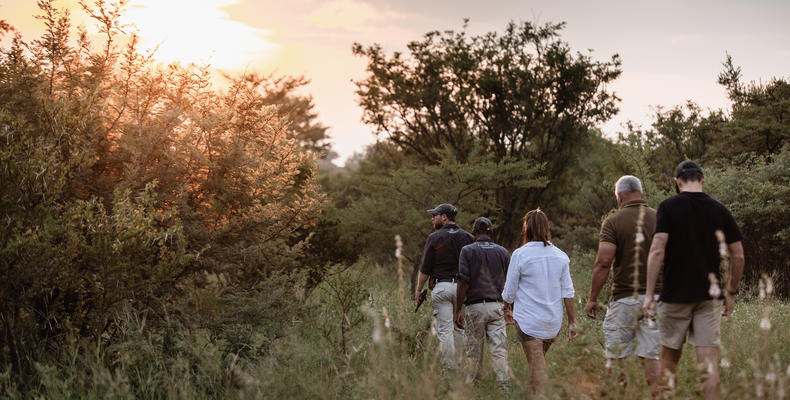 Bush Walk