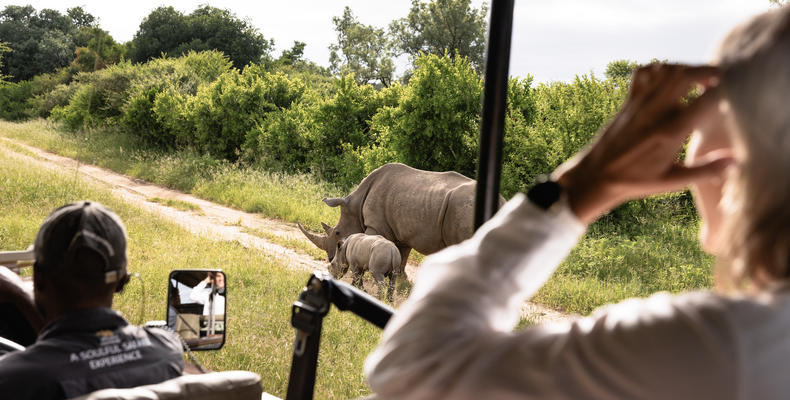 Game Drives