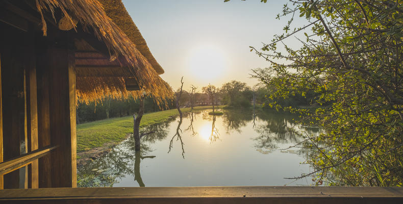 Waterhole in front of Main Lodge