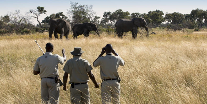 Xaranna Okavango Delta Camp