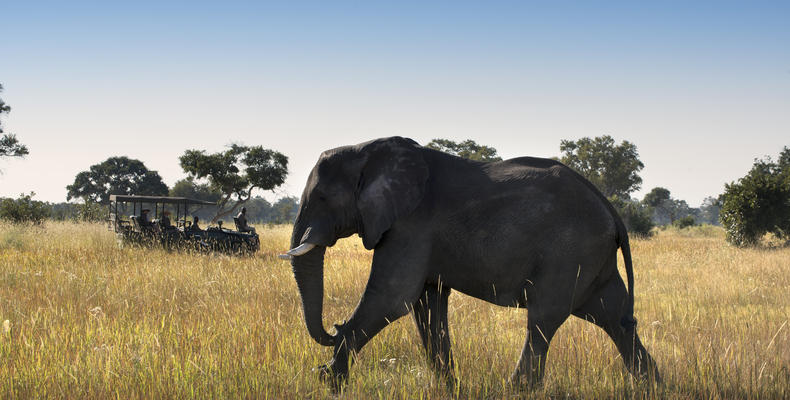 Xaranna Okavango Delta Camp
