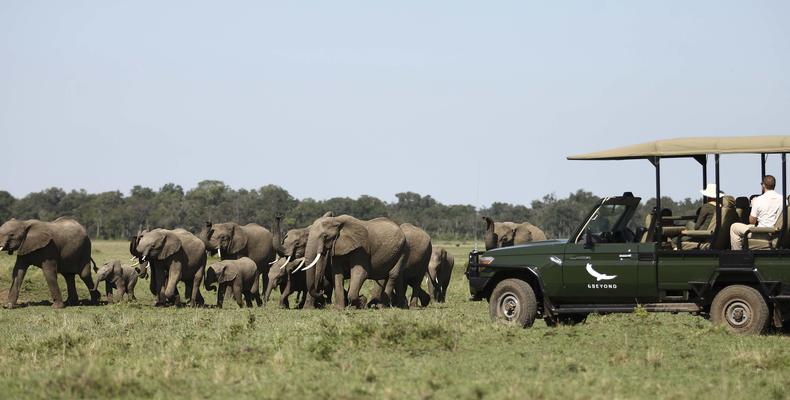 Kichwa Tembo
