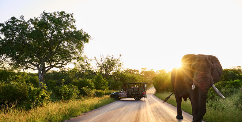 Kruger Gate Hotel Safari