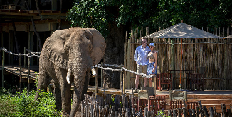 Nyamatusi Camp