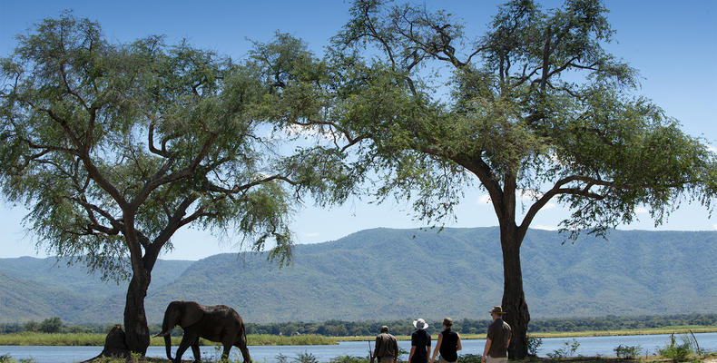 Nyamatusi Camp