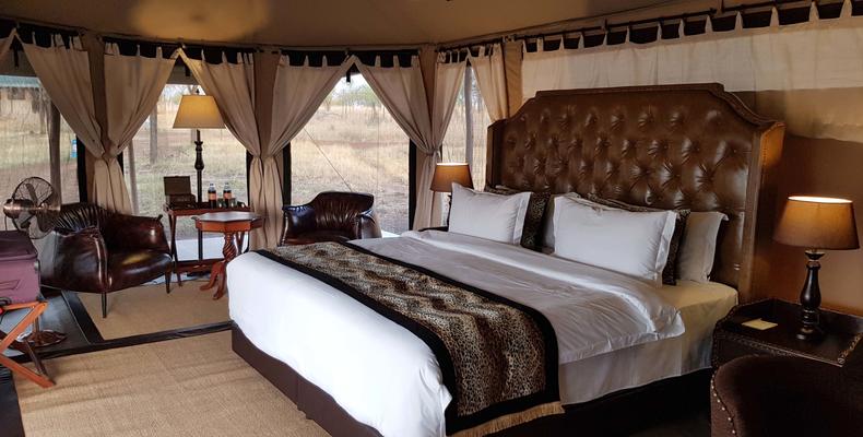 Tent Room