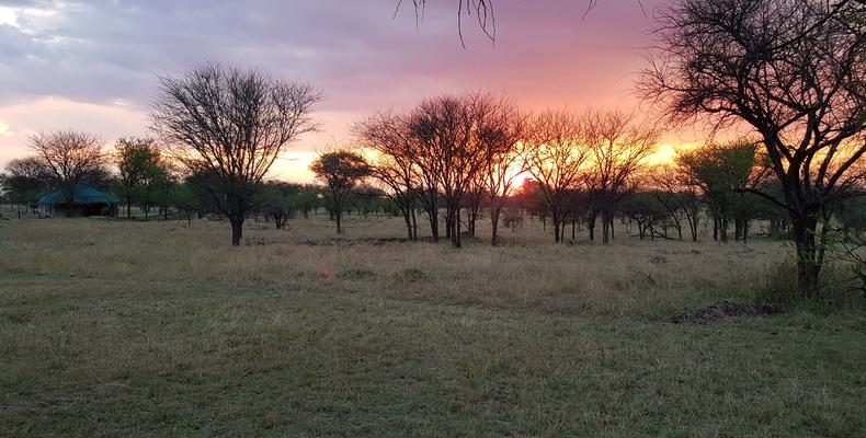 Stunning views over the camp