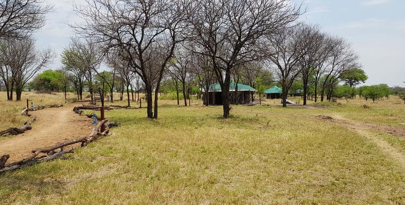 Camp Area