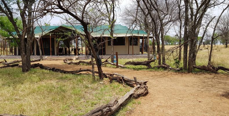 Camp Area