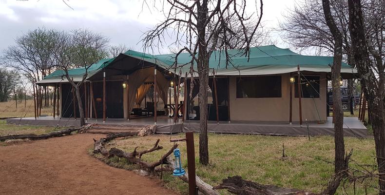 Camp Area
