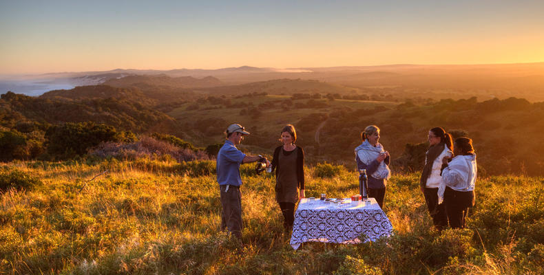 Game Drive Stops
