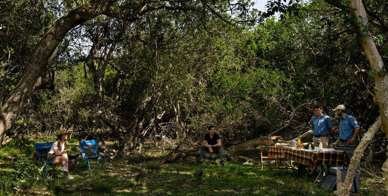 Bush Breakfast