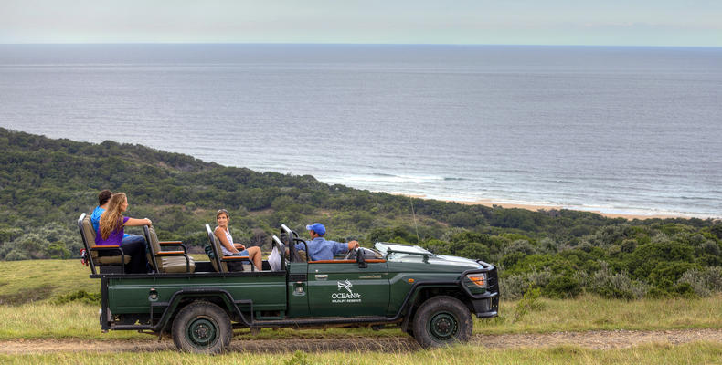 Game Drives with a view