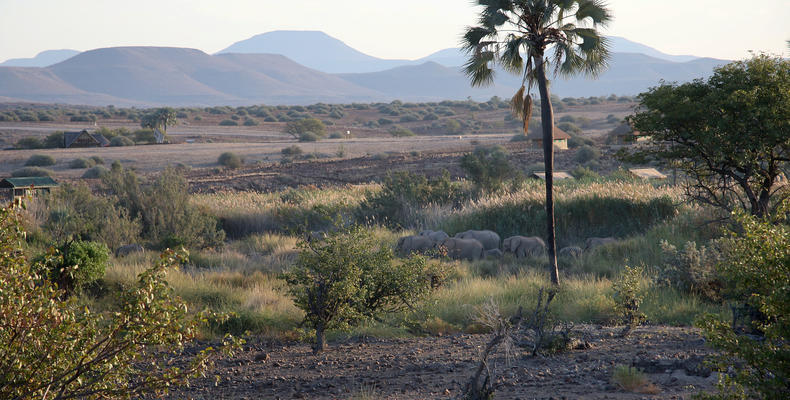 Palmwag Lodge