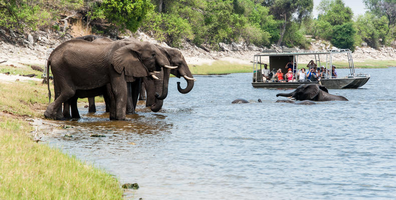 Game Viewing