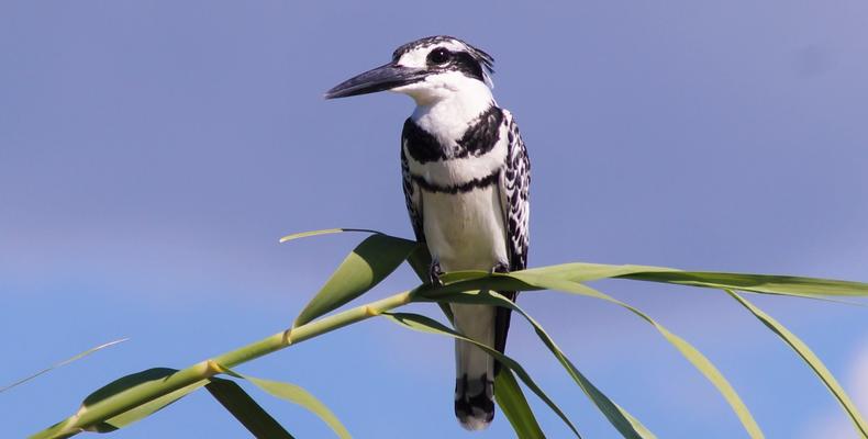 Birders paradise with over 400 species