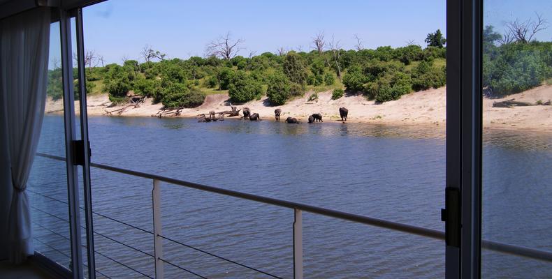 View from Zambezi Queen suite 