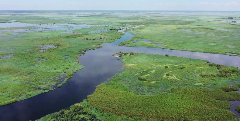 Chobe River Aerial