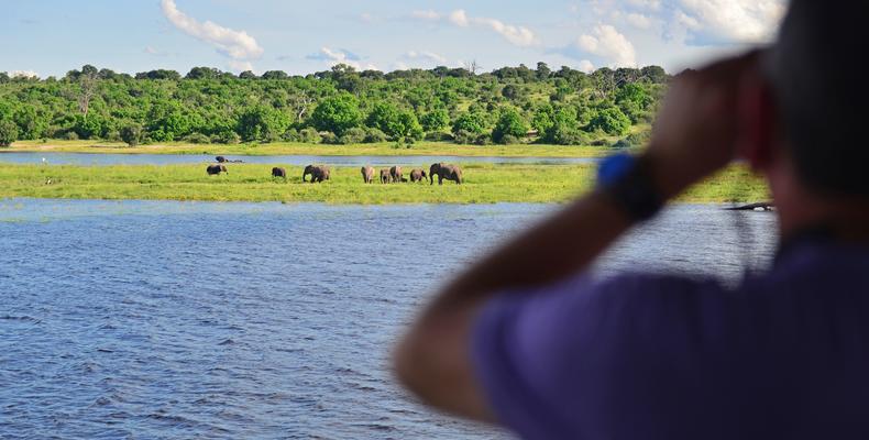 Game viewing from the lounge