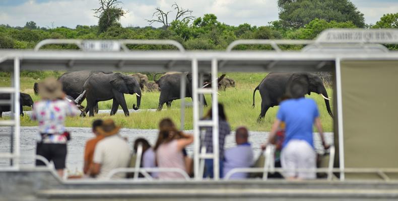 Water-based game viewing 