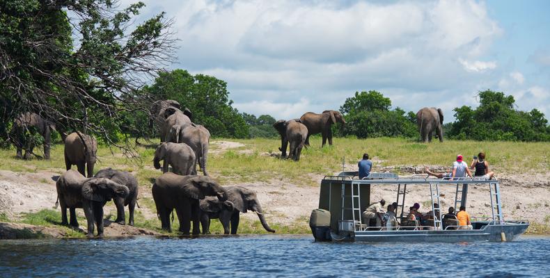 Water-based game viewing 