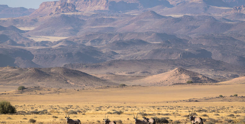 Wilderness Damaraland Camp