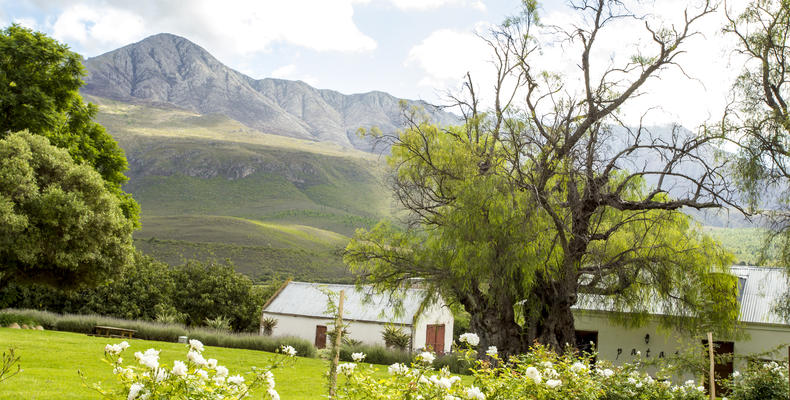 Swartberg Country Manor