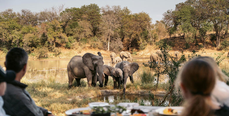 Simbavati River Lodge