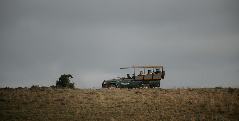 Amakhala Game Reserve 