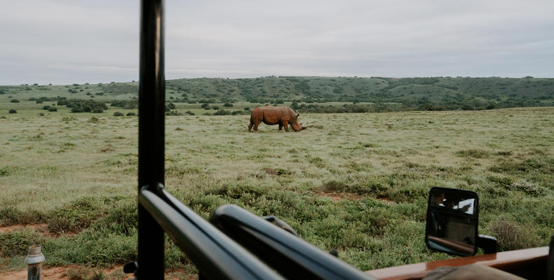 Amakhala Game Reserve 