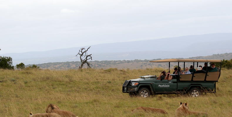 Amakhala Game Reserve 