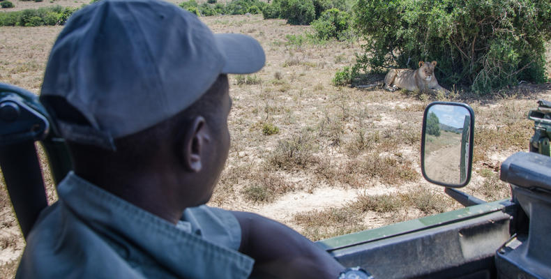 Amakhala Game Reserve 