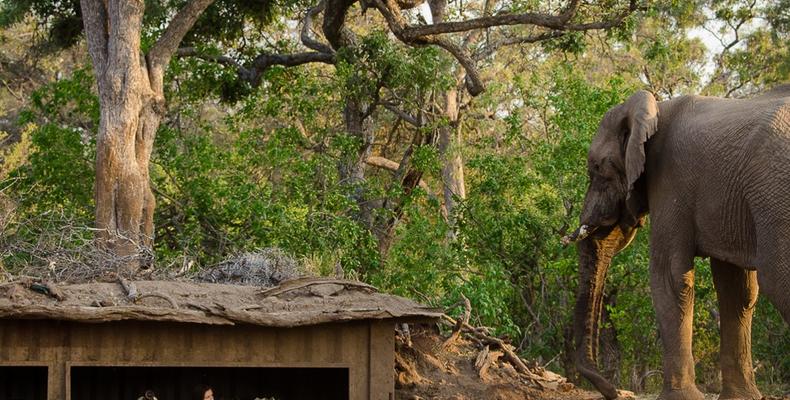 Matebole Hide