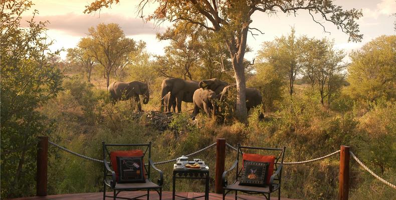 Hoyo Hoyo Safari Lodge - View From Main Deck