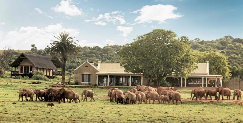 Gorah Elephant Camp Main Lodge 