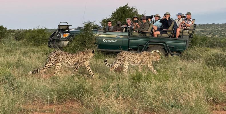 Kwandwe Private Game Reserve